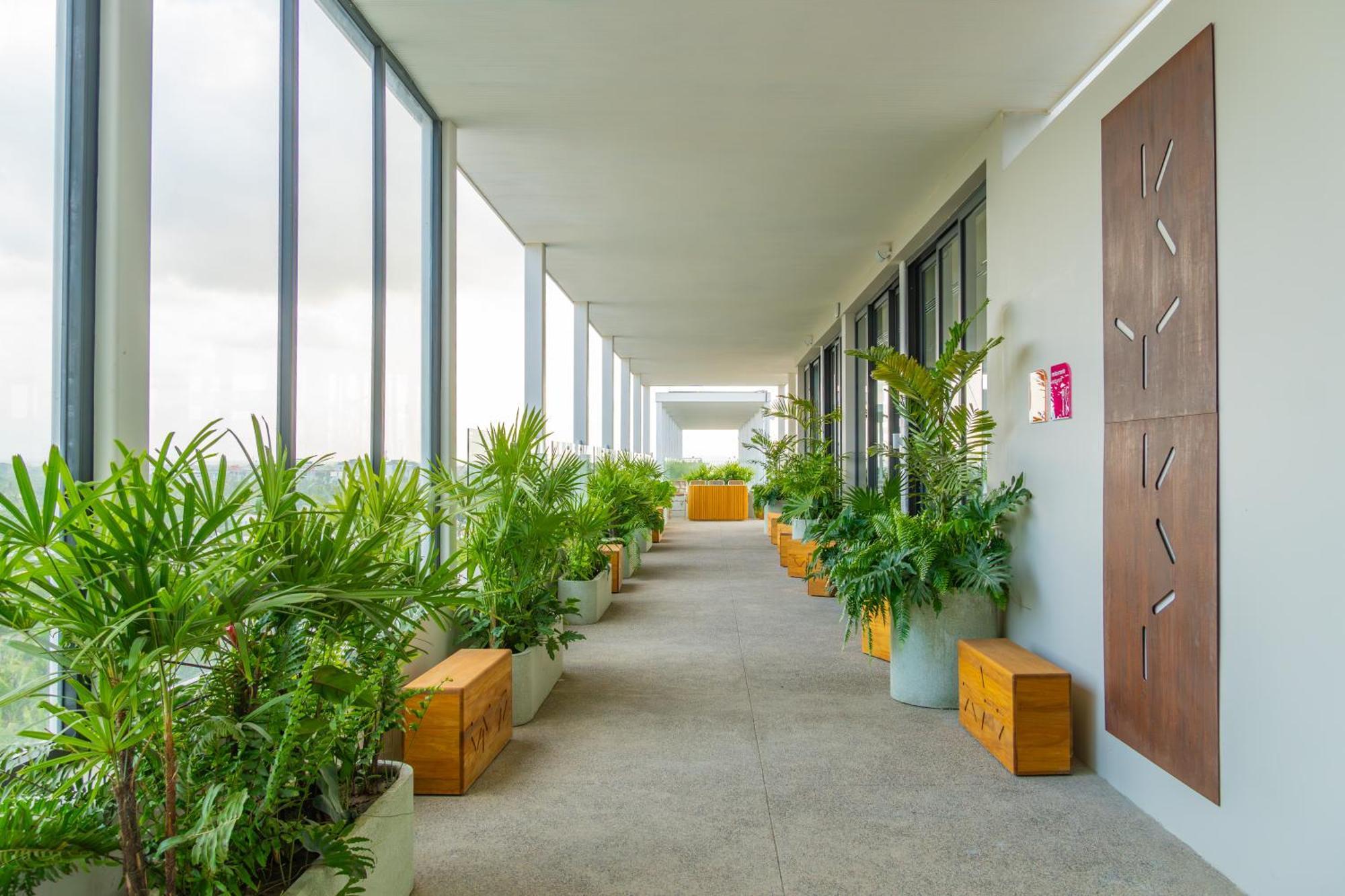 Hotel Mio Riviera Nayarit Unique & Different Adults Only Нуево Валярта Екстериор снимка